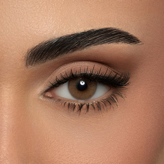 Amara One Day Pure Hazel - 10 Lenses