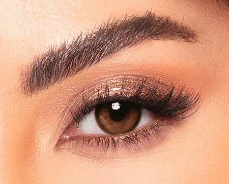 Amara Walnut - 2 lenses