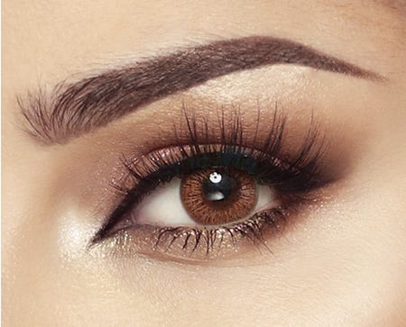 Bella Elite - Cinnamon Brown