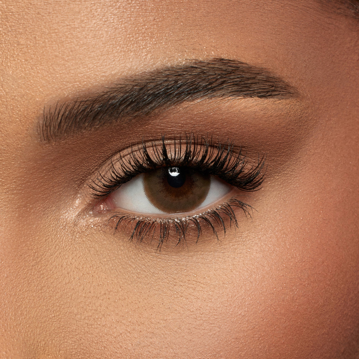 Amara Mocca - 2 Lenses