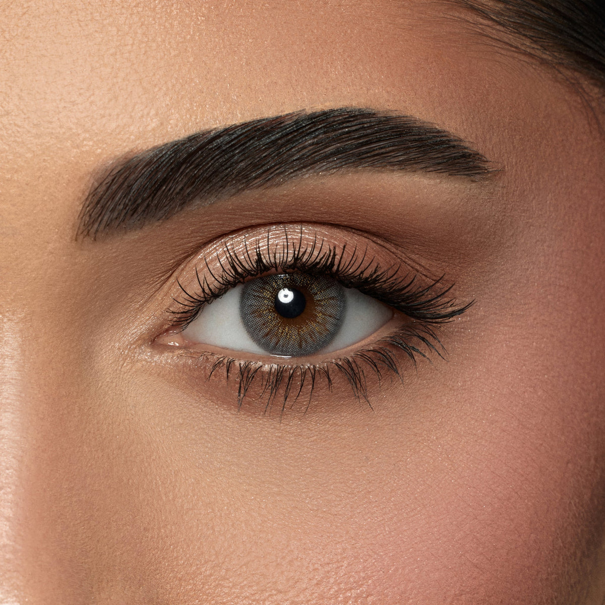 Amara One Day Sugar - 10 Lenses