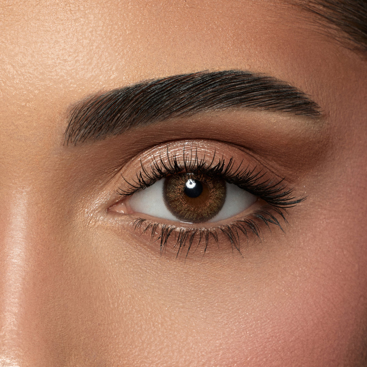 Amara One Day Shadow - 10 Lenses