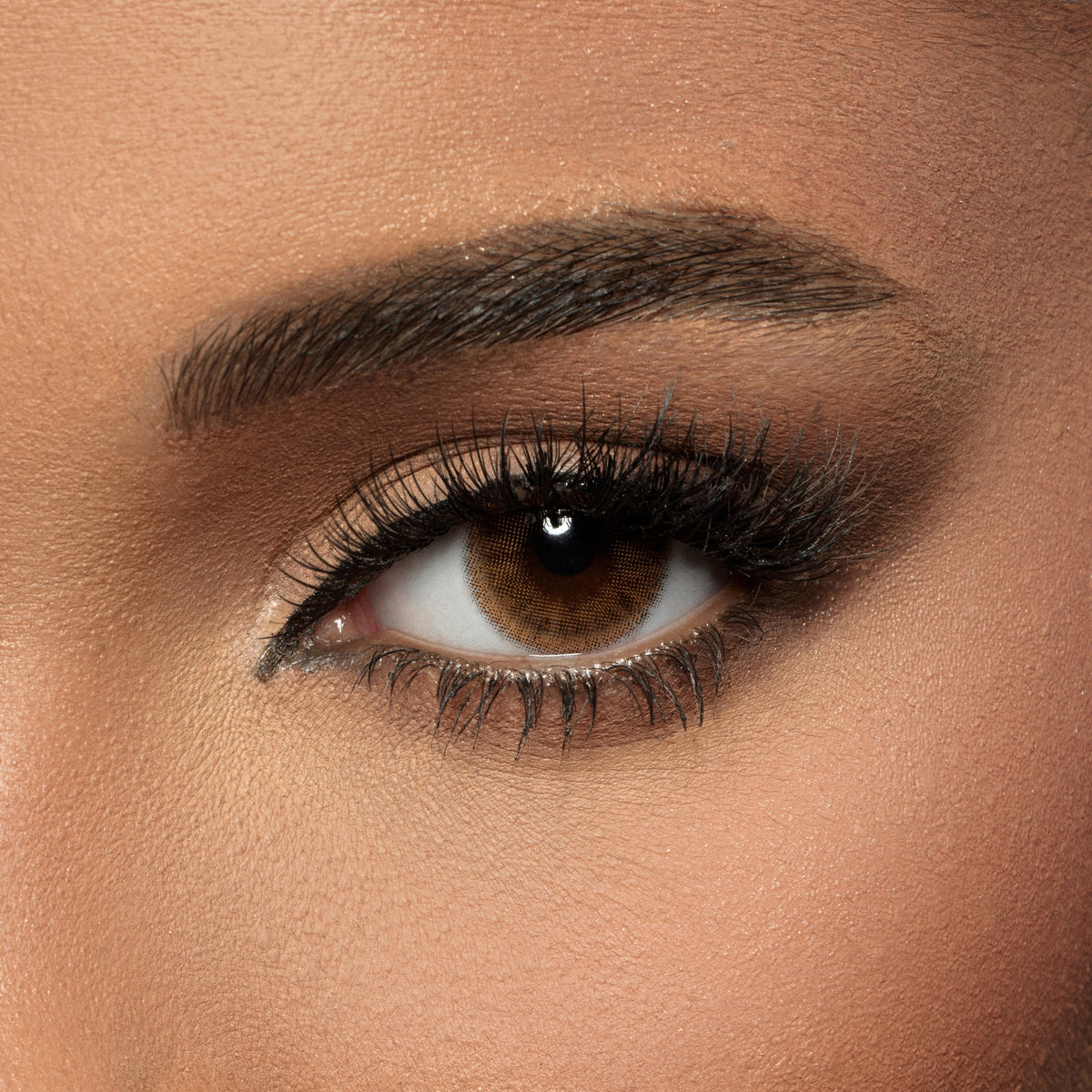 Amara Brunette - 2 Lenses