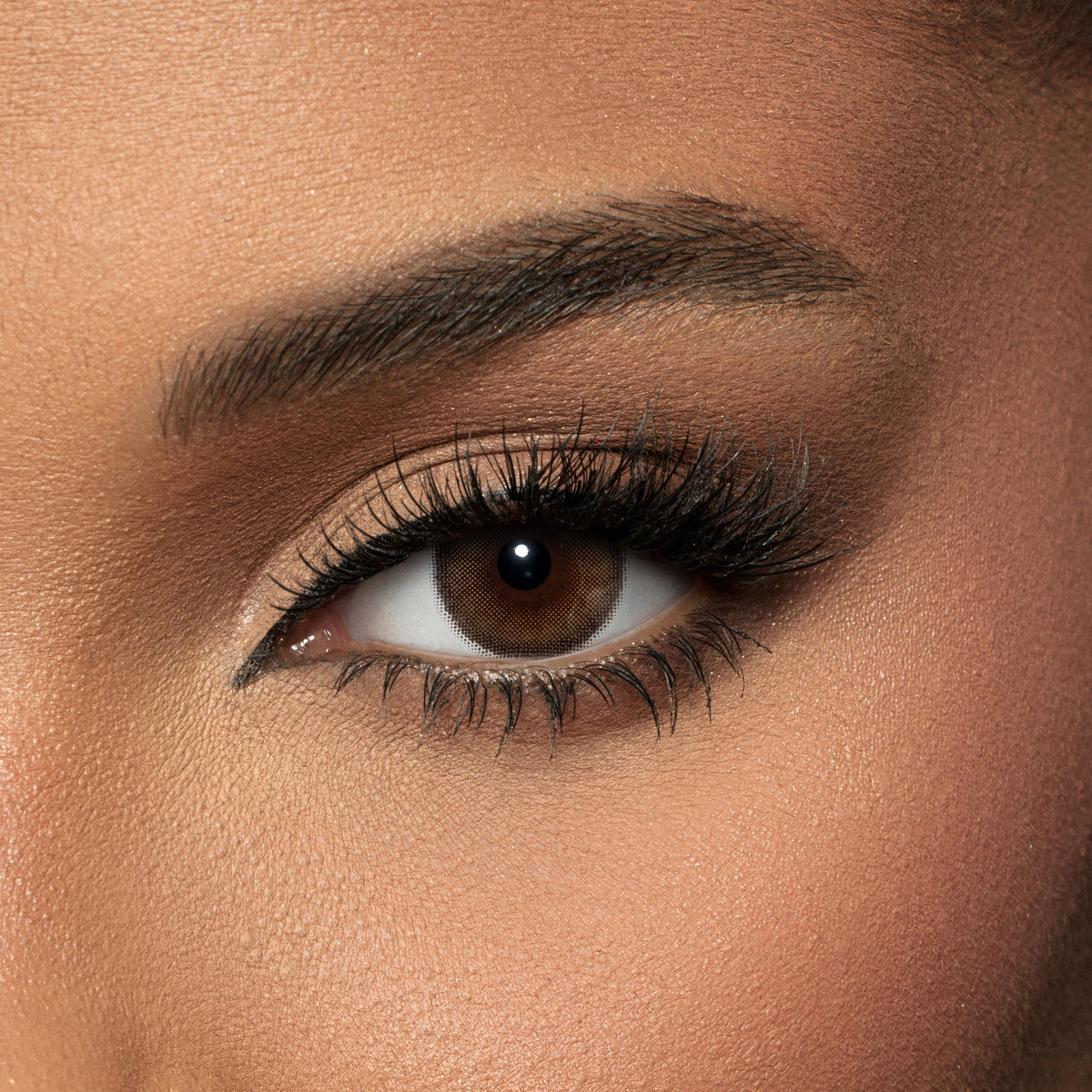 Amara Walnut - 2 Lenses