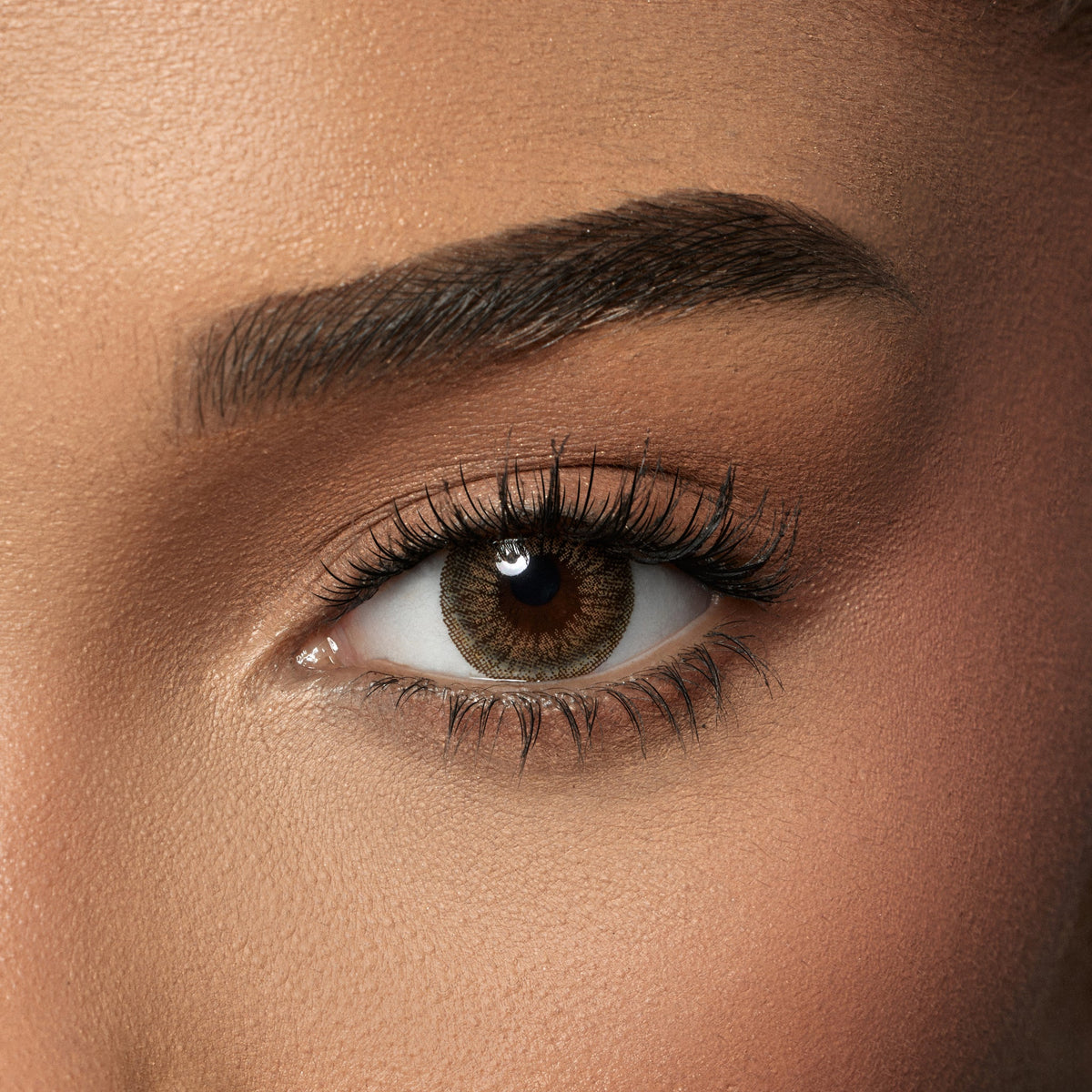 Amara One Day Amber - 10 Lenses