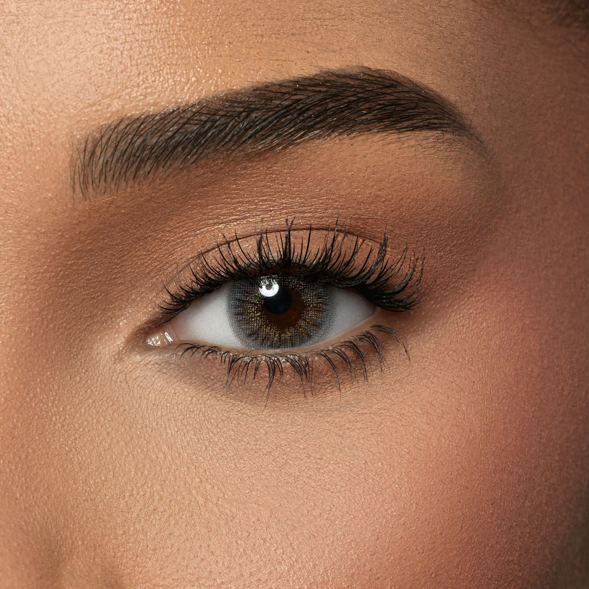 Amara One Day Sugar - 10 Lenses