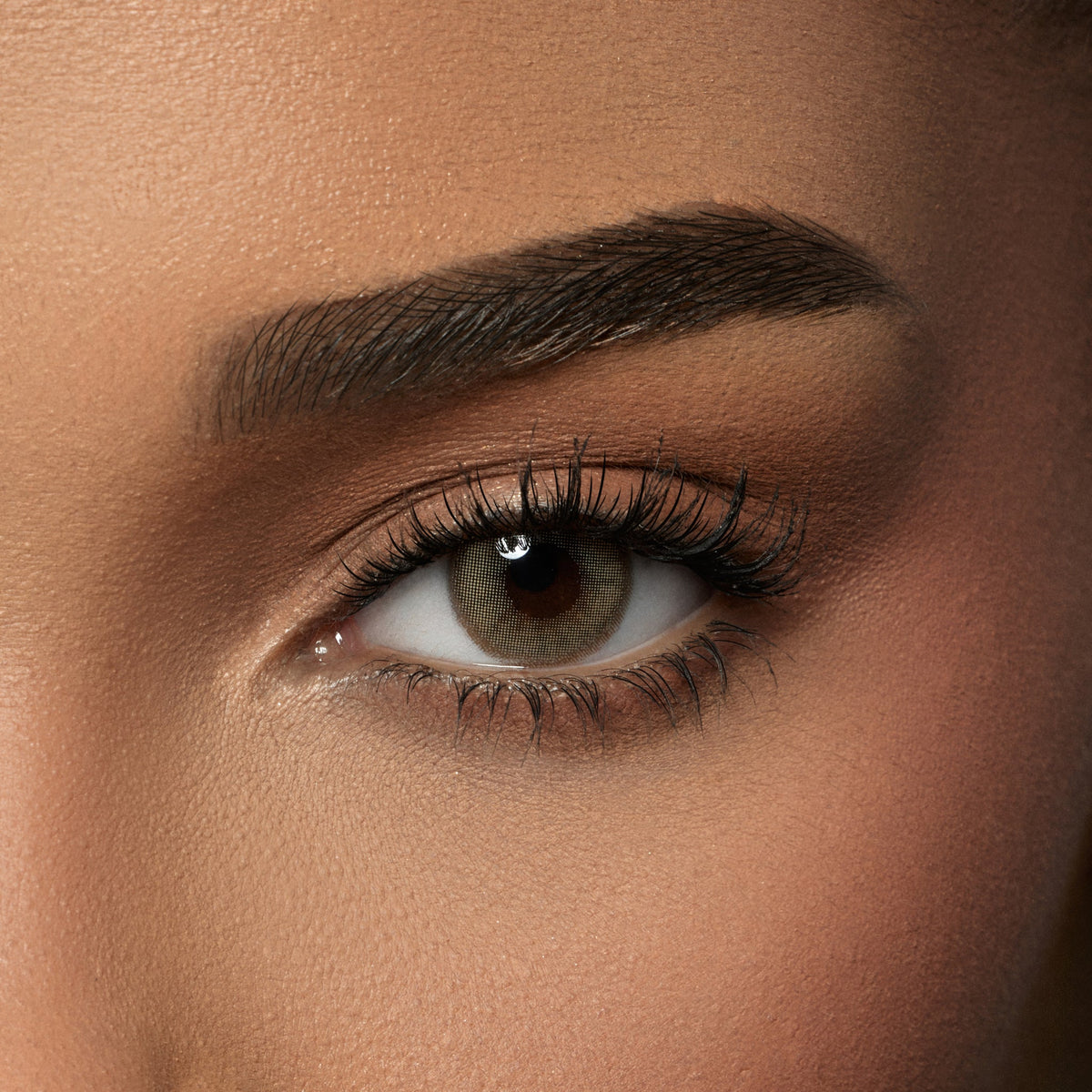 Amara One Day Honey - 10 Lenses
