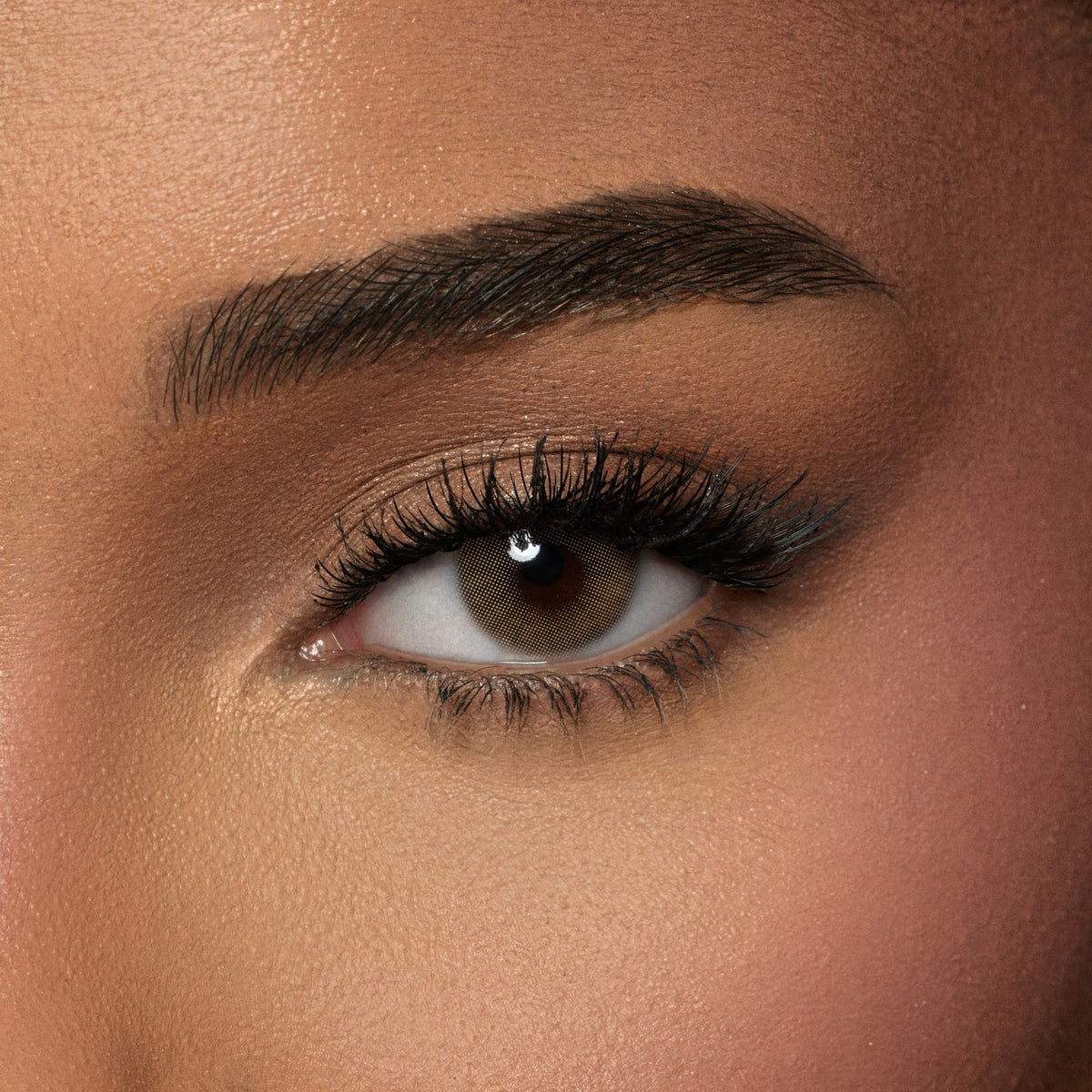 Amara Pure Hazel - 2 Lenses