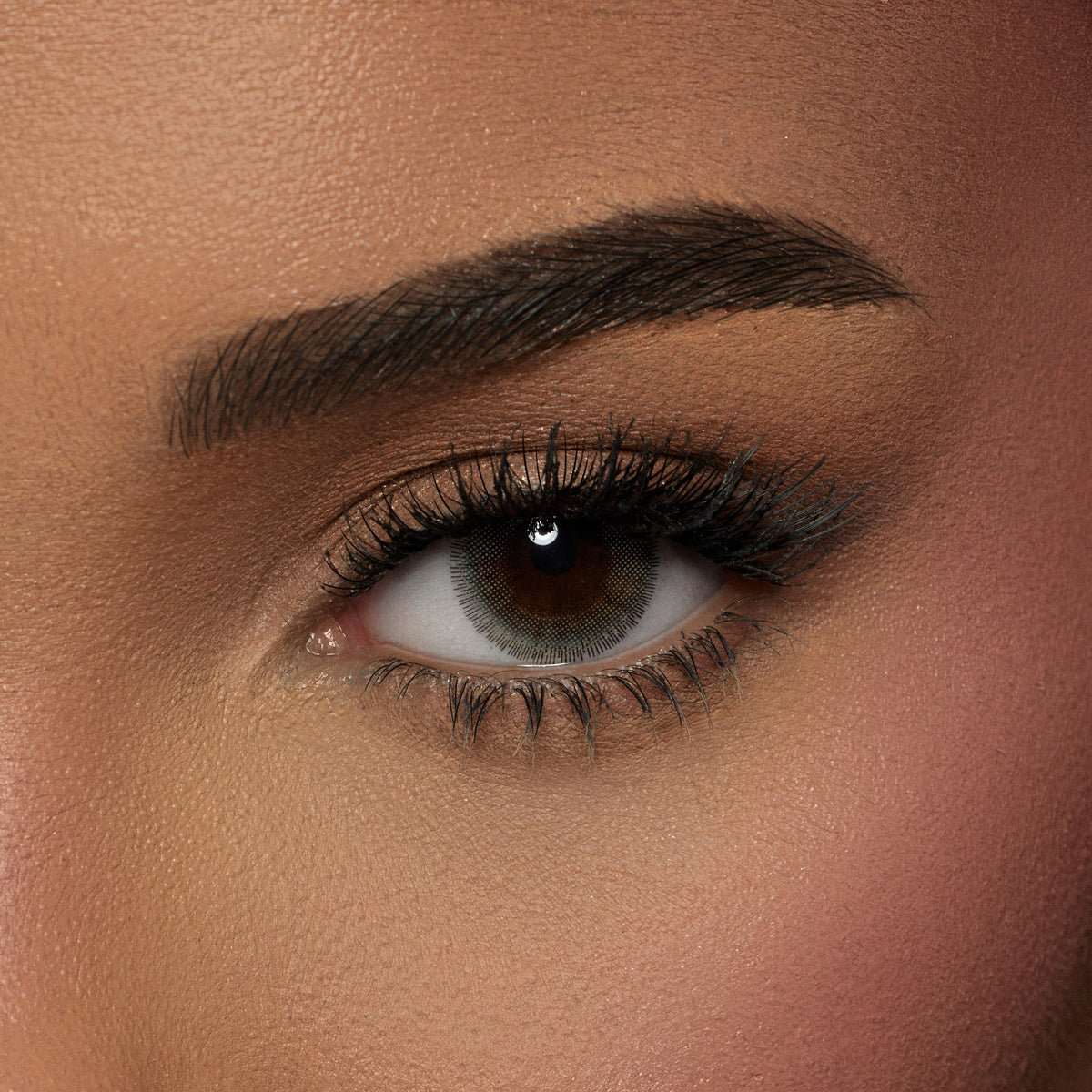 Amara Dream - 2 Lenses