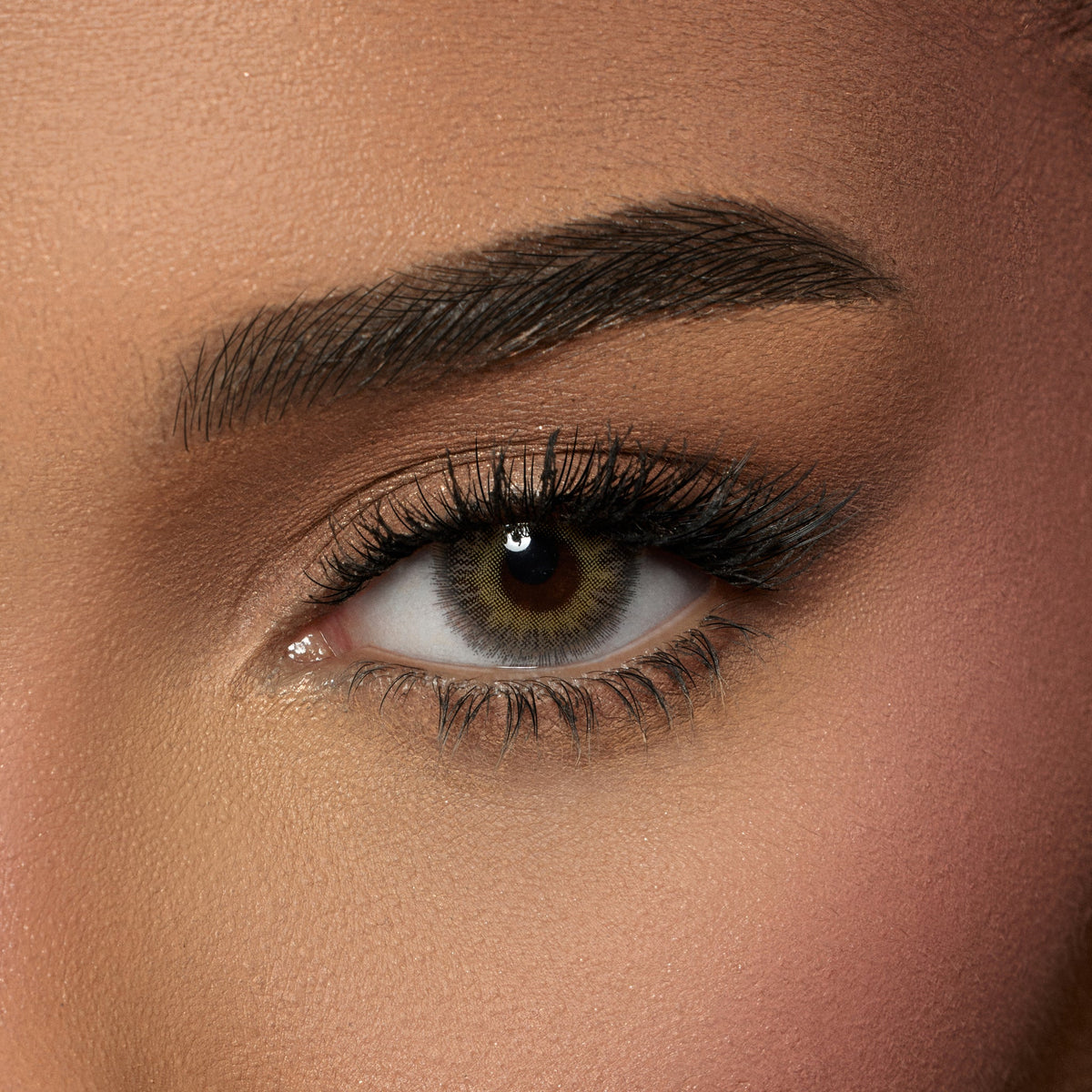 Amara Spanish Latte - 2 Lenses
