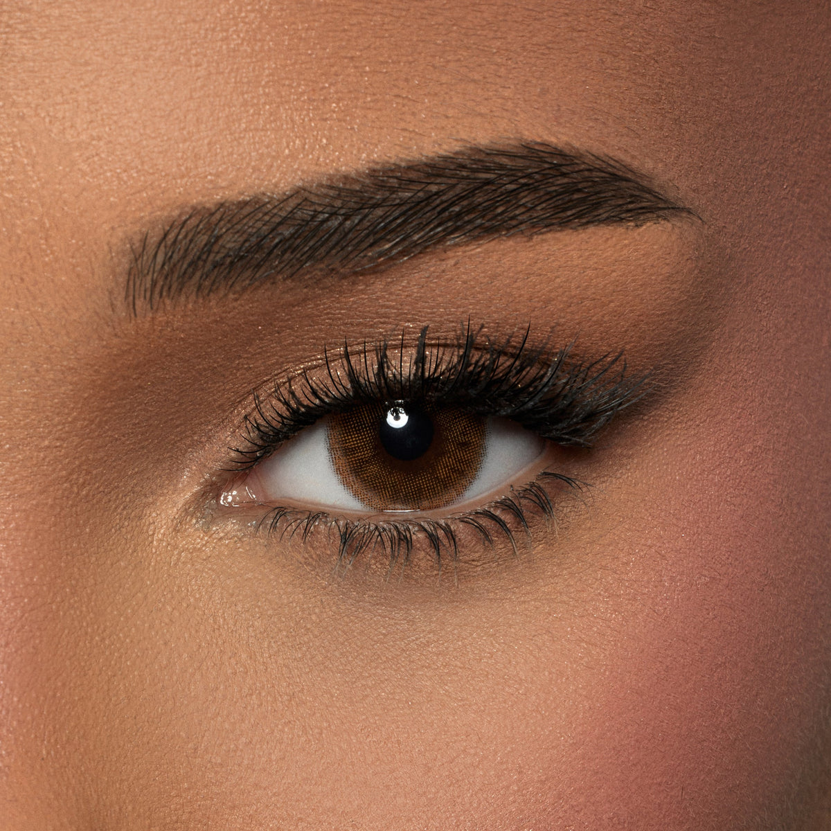 Amara Macchiato - 2 Lenses