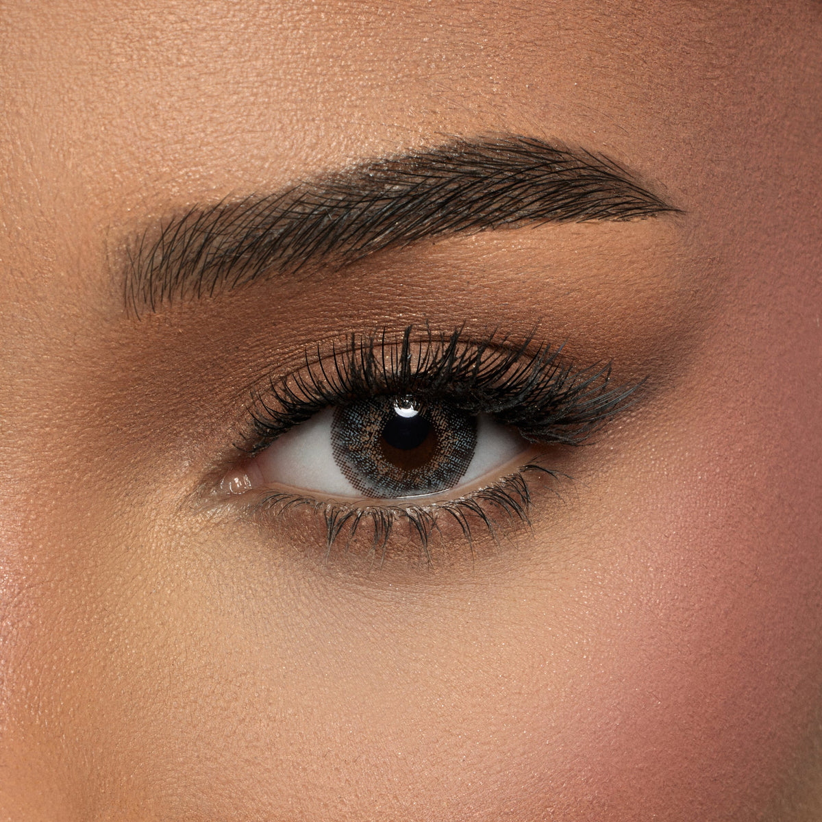 Amara One Day Gray - 10 Lenses