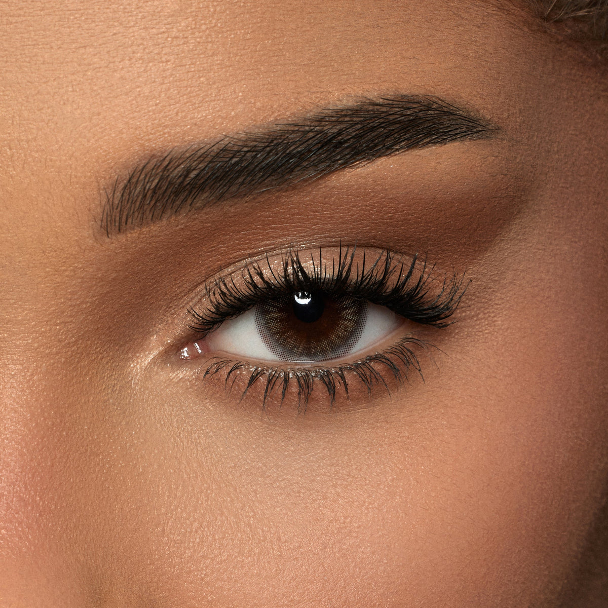 Amara One Day Moon Stone - 10 Lenses