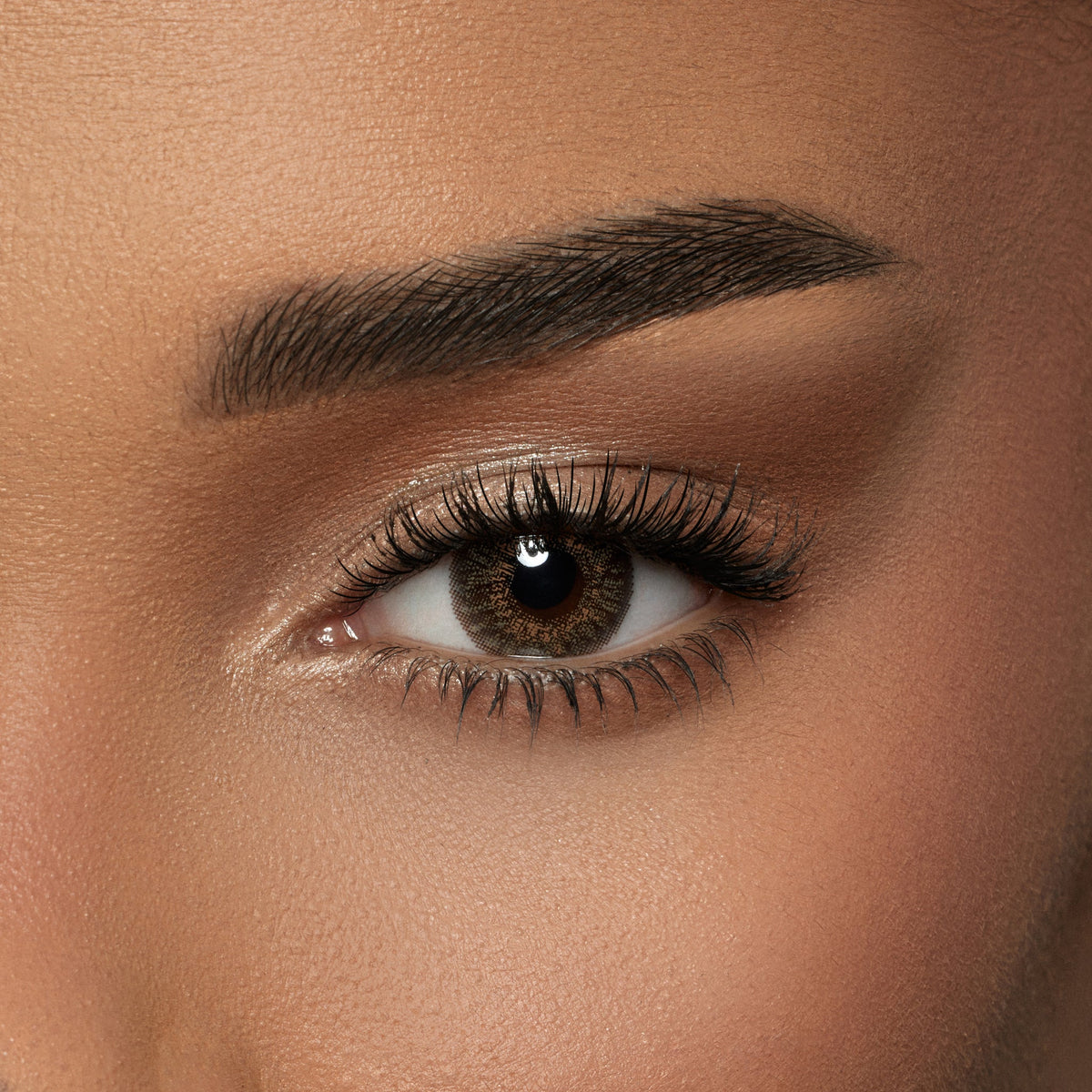 Amara One Day Shadow - 10 Lenses