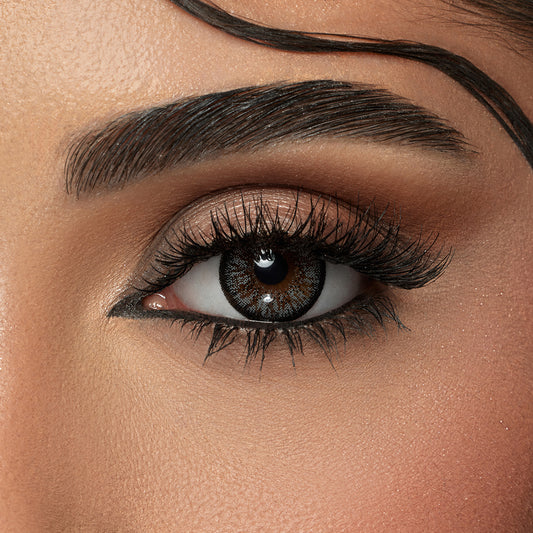 Amara One Day Charcoal Gray- 10 Lenses