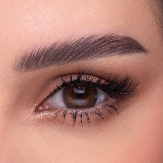 Amara One Day Chocolate- 10 Lenses