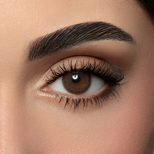 Amara One Day Dark Sepia- 10 Lenses