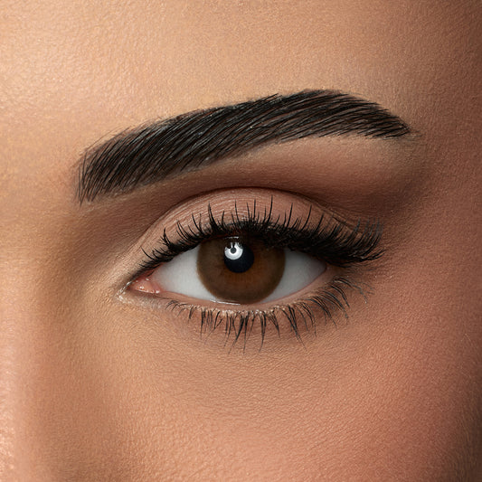 Amara One Day Mocca- 10 Lenses