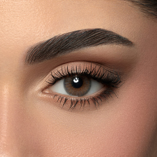 Amara One Day Steel Gray- 10 Lenses