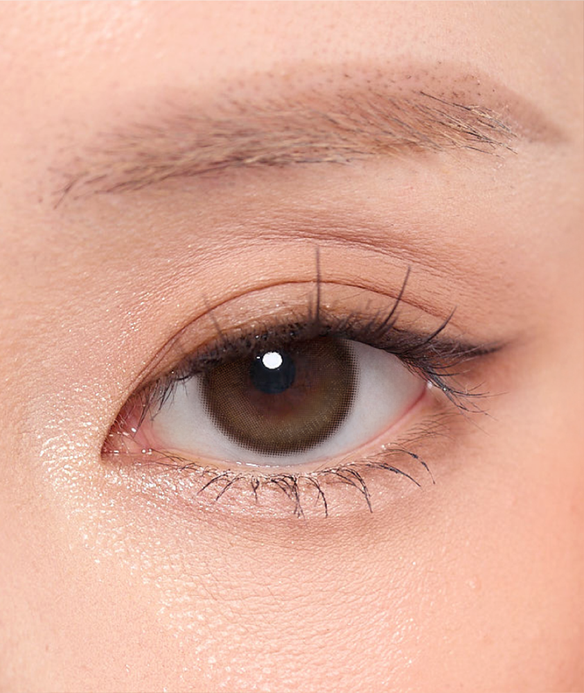 LensMe Korea Style - Sylva - 2 Lenses