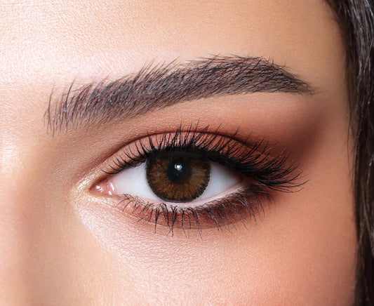 Bella Contour - Hazel