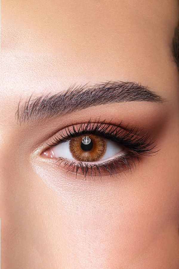 Bella Diamond Oak - 2 Lenses